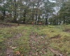 5150 Indian Run, Salem, West Virginia 26426, ,Lots/land,For Sale,Indian,10161885 5150 Indian Run, Salem, West Virginia 26426, ,Lots/land,For Sale,Indian,10161885
