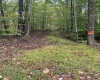 5150 Indian Run, Salem, West Virginia 26426, ,Lots/land,For Sale,Indian,10161885 5150 Indian Run, Salem, West Virginia 26426, ,Lots/land,For Sale,Indian,10161885