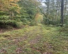 5150 Indian Run, Salem, West Virginia 26426, ,Lots/land,For Sale,Indian,10161885 5150 Indian Run, Salem, West Virginia 26426, ,Lots/land,For Sale,Indian,10161885