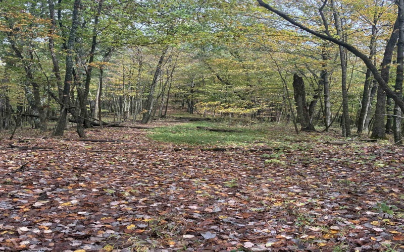 5150 Indian Run, Salem, West Virginia 26426, ,Lots/land,For Sale,Indian,10161885 5150 Indian Run, Salem, West Virginia 26426, ,Lots/land,For Sale,Indian,10161885