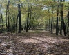 5150 Indian Run, Salem, West Virginia 26426, ,Lots/land,For Sale,Indian,10161885 5150 Indian Run, Salem, West Virginia 26426, ,Lots/land,For Sale,Indian,10161885