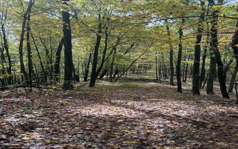 5150 Indian Run, Salem, West Virginia 26426, ,Lots/land,For Sale,Indian,10161885 5150 Indian Run, Salem, West Virginia 26426, ,Lots/land,For Sale,Indian,10161885