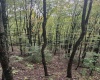 5150 Indian Run, Salem, West Virginia 26426, ,Lots/land,For Sale,Indian,10161885 5150 Indian Run, Salem, West Virginia 26426, ,Lots/land,For Sale,Indian,10161885