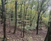 5150 Indian Run, Salem, West Virginia 26426, ,Lots/land,For Sale,Indian,10161885 5150 Indian Run, Salem, West Virginia 26426, ,Lots/land,For Sale,Indian,10161885