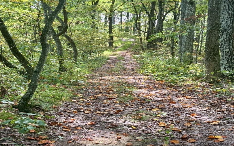 5150 Indian Run, Salem, West Virginia 26426, ,Lots/land,For Sale,Indian,10161885 5150 Indian Run, Salem, West Virginia 26426, ,Lots/land,For Sale,Indian,10161885