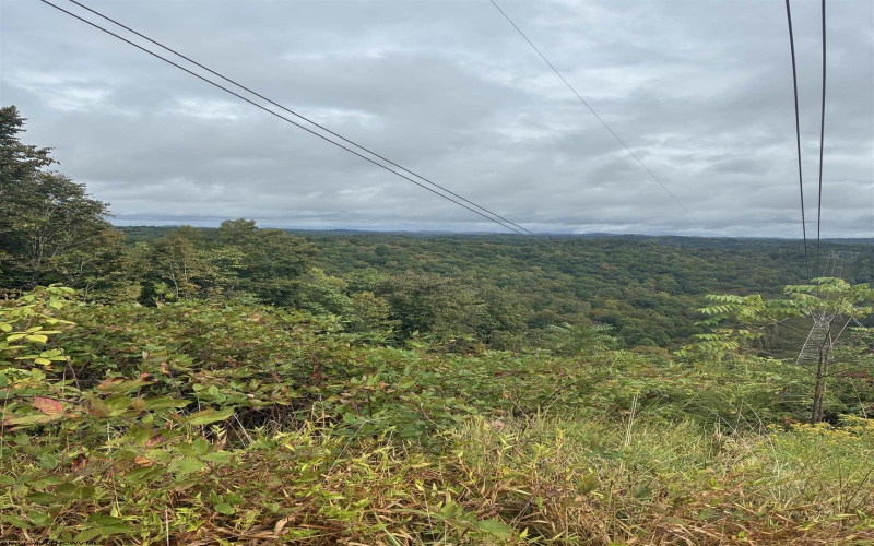 5150 Indian Run, Salem, West Virginia 26426, ,Lots/land,For Sale,Indian,10161885 5150 Indian Run, Salem, West Virginia 26426, ,Lots/land,For Sale,Indian,10161885