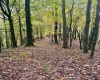 5150 Indian Run, Salem, West Virginia 26426, ,Lots/land,For Sale,Indian,10161885 5150 Indian Run, Salem, West Virginia 26426, ,Lots/land,For Sale,Indian,10161885