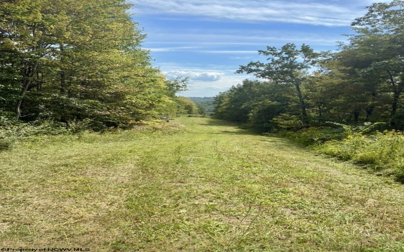 5150 Indian Run, Salem, West Virginia 26426, ,Lots/land,For Sale,Indian,10161885 5150 Indian Run, Salem, West Virginia 26426, ,Lots/land,For Sale,Indian,10161885