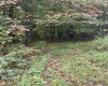 5150 Indian Run, Salem, West Virginia 26426, ,Lots/land,For Sale,Indian,10161885 5150 Indian Run, Salem, West Virginia 26426, ,Lots/land,For Sale,Indian,10161885