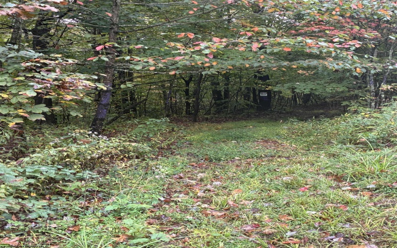 5150 Indian Run, Salem, West Virginia 26426, ,Lots/land,For Sale,Indian,10161885 5150 Indian Run, Salem, West Virginia 26426, ,Lots/land,For Sale,Indian,10161885