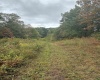 5150 Indian Run, Salem, West Virginia 26426, ,Lots/land,For Sale,Indian,10161885 5150 Indian Run, Salem, West Virginia 26426, ,Lots/land,For Sale,Indian,10161885