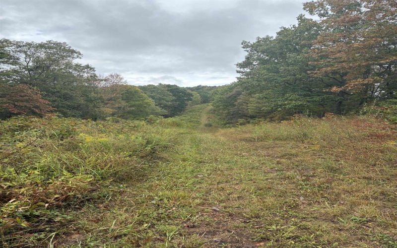 5150 Indian Run, Salem, West Virginia 26426, ,Lots/land,For Sale,Indian,10161885 5150 Indian Run, Salem, West Virginia 26426, ,Lots/land,For Sale,Indian,10161885