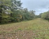 5150 Indian Run, Salem, West Virginia 26426, ,Lots/land,For Sale,Indian,10161885 5150 Indian Run, Salem, West Virginia 26426, ,Lots/land,For Sale,Indian,10161885