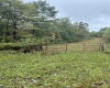 5150 Indian Run, Salem, West Virginia 26426, ,Lots/land,For Sale,Indian,10161885 5150 Indian Run, Salem, West Virginia 26426, ,Lots/land,For Sale,Indian,10161885
