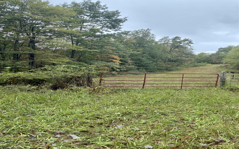 5150 Indian Run, Salem, West Virginia 26426, ,Lots/land,For Sale,Indian,10161885 5150 Indian Run, Salem, West Virginia 26426, ,Lots/land,For Sale,Indian,10161885