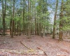 404 Black Bear Trail, Davis, West Virginia 26260, 2 Bedrooms Bedrooms, 6 Rooms Rooms,2 BathroomsBathrooms,Single Family Detached,For Sale,Black Bear,10158751
