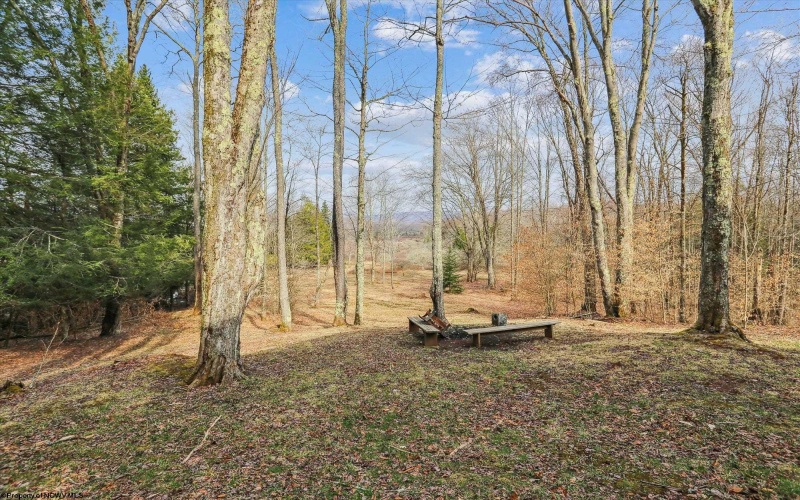 404 Black Bear Trail, Davis, West Virginia 26260, 2 Bedrooms Bedrooms, 6 Rooms Rooms,2 BathroomsBathrooms,Single Family Detached,For Sale,Black Bear,10158751
