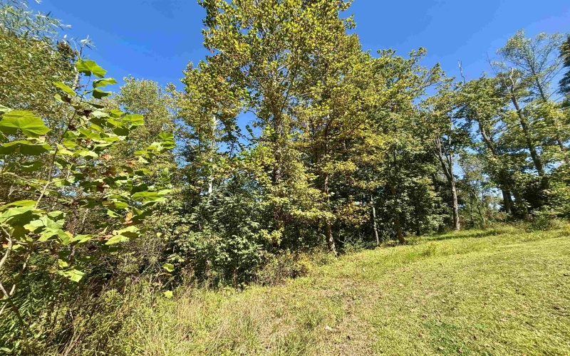 118 Marco Polo Drive, Morgantown, West Virginia 26508-2907, ,Lots/land,For Sale,Marco Polo,10161891