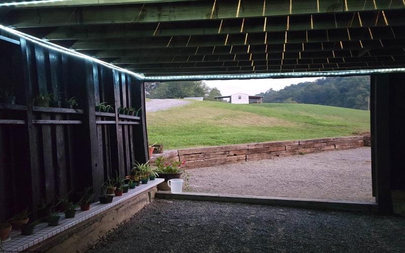 TBD Carter Road, French Creek, West Virginia 26218, 1 Bedroom Bedrooms, 4 Rooms Rooms,1 BathroomBathrooms,Single Family Detached,For Sale,Carter,10161899 TBD Carter Road, French Creek, West Virginia 26218, 1 Bedroom Bedrooms, 4 Rooms Rooms,1 BathroomBathrooms,Single Family Detached,For Sale,Carter,10161899