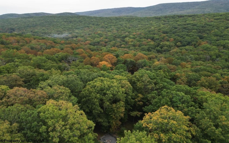 546 Wild Turkey Ridge, Lost City, West Virginia 26810, 3 Bedrooms Bedrooms, 5 Rooms Rooms,2 BathroomsBathrooms,Single Family Detached,For Sale,Wild Turkey,10161882