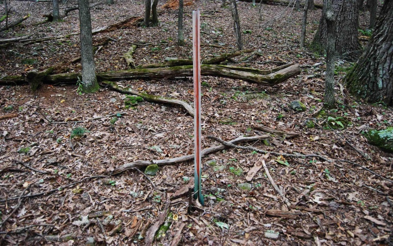 546 Wild Turkey Ridge, Lost City, West Virginia 26810, 3 Bedrooms Bedrooms, 5 Rooms Rooms,2 BathroomsBathrooms,Single Family Detached,For Sale,Wild Turkey,10161882