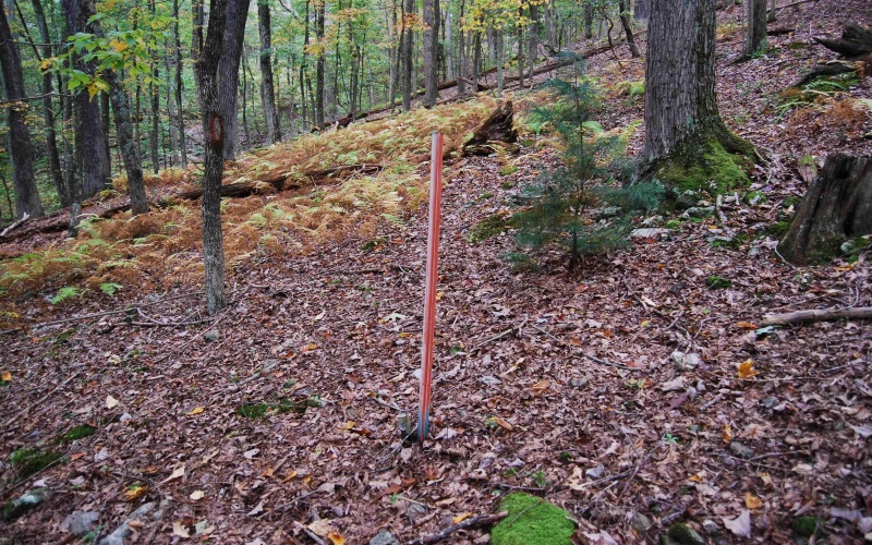 546 Wild Turkey Ridge, Lost City, West Virginia 26810, 3 Bedrooms Bedrooms, 5 Rooms Rooms,2 BathroomsBathrooms,Single Family Detached,For Sale,Wild Turkey,10161882