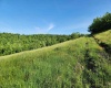 TBD Deer Haven Drive, Lost Creek, West Virginia 26385, ,Lots/land,For Sale,Deer Haven,10161908