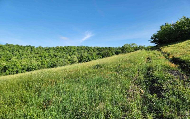 TBD Deer Haven Drive, Lost Creek, West Virginia 26385, ,Lots/land,For Sale,Deer Haven,10161908