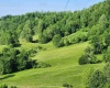 TBD Deer Haven Drive, Lost Creek, West Virginia 26385, ,Lots/land,For Sale,Deer Haven,10161908