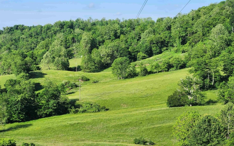 TBD Deer Haven Drive, Lost Creek, West Virginia 26385, ,Lots/land,For Sale,Deer Haven,10161908