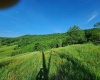 TBD Deer Haven Drive, Lost Creek, West Virginia 26385, ,Lots/land,For Sale,Deer Haven,10161908