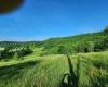 TBD Deer Haven Drive, Lost Creek, West Virginia 26385, ,Lots/land,For Sale,Deer Haven,10161908