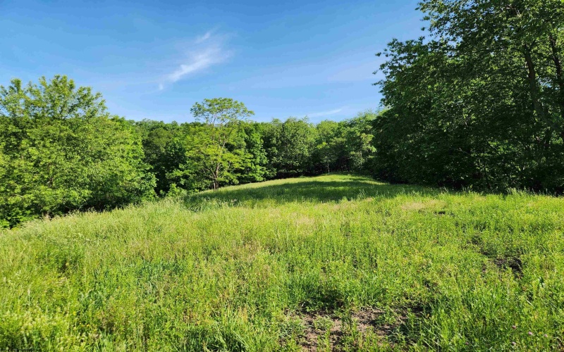 TBD Deer Haven Drive, Lost Creek, West Virginia 26385, ,Lots/land,For Sale,Deer Haven,10161908