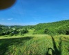 TBD Deer Haven Drive, Lost Creek, West Virginia 26385, ,Lots/land,For Sale,Deer Haven,10161908