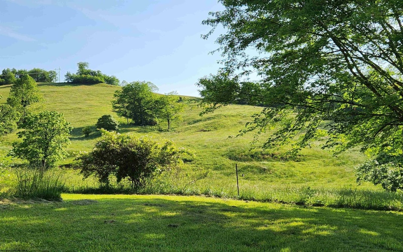TBD Deer Haven Drive, Lost Creek, West Virginia 26385, ,Lots/land,For Sale,Deer Haven,10161908