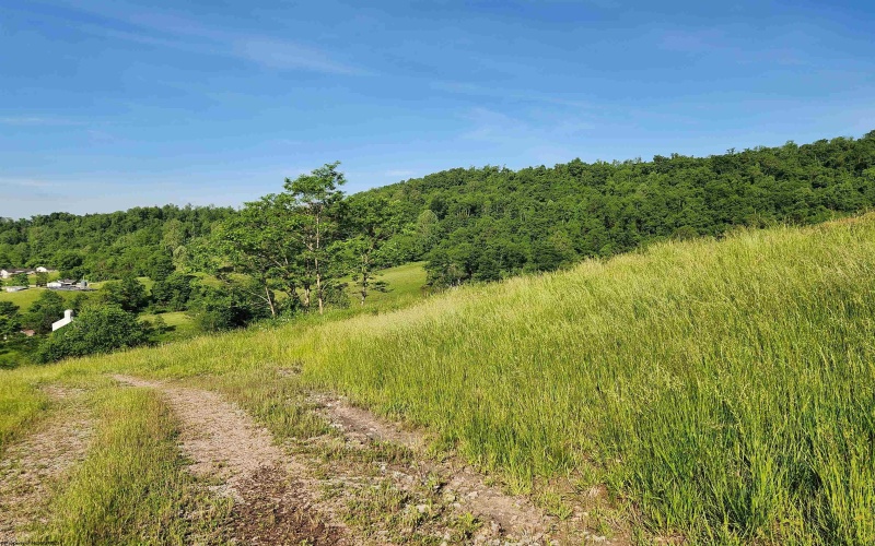 TBD Deer Haven Drive, Lost Creek, West Virginia 26385, ,Lots/land,For Sale,Deer Haven,10161908