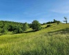 TBD Deer Haven Drive, Lost Creek, West Virginia 26385, ,Lots/land,For Sale,Deer Haven,10161908