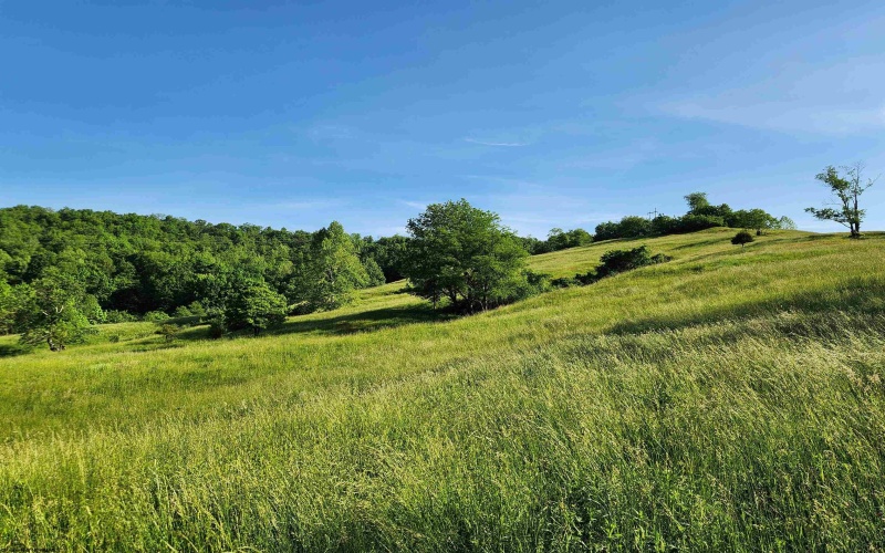 TBD Deer Haven Drive, Lost Creek, West Virginia 26385, ,Lots/land,For Sale,Deer Haven,10161908