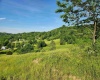 TBD Deer Haven Drive, Lost Creek, West Virginia 26385, ,Lots/land,For Sale,Deer Haven,10161908