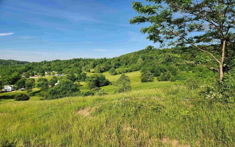 TBD Deer Haven Drive, Lost Creek, West Virginia 26385, ,Lots/land,For Sale,Deer Haven,10161908