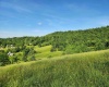 TBD Deer Haven Drive, Lost Creek, West Virginia 26385, ,Lots/land,For Sale,Deer Haven,10161908