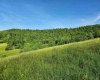 TBD Deer Haven Drive, Lost Creek, West Virginia 26385, ,Lots/land,For Sale,Deer Haven,10161908