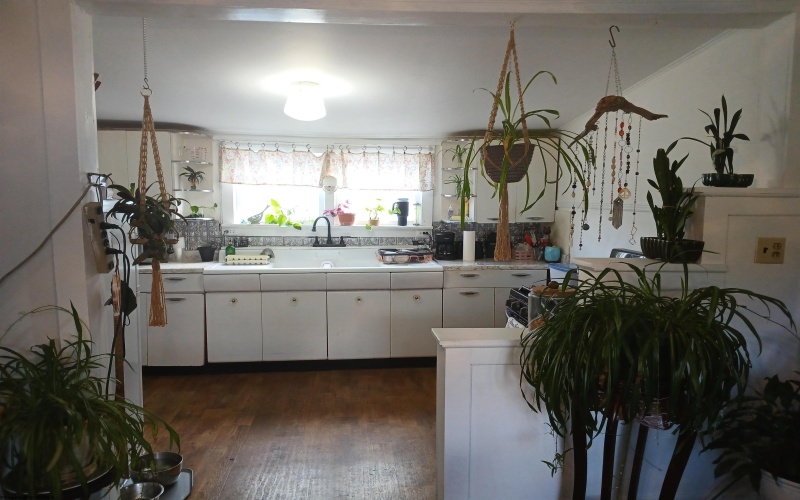 352 Thomas Avenue, Davis, West Virginia 26260, 2 Bedrooms Bedrooms, 5 Rooms Rooms,1 BathroomBathrooms,Single Family Detached,For Sale,Thomas,10161914