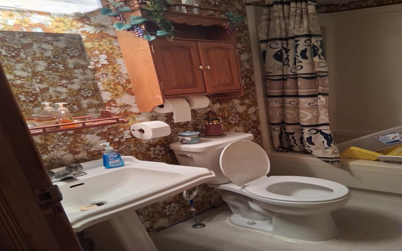 577 Arnoldsburg Road, Spencer, West Virginia 25276, 3 Bedrooms Bedrooms, 7 Rooms Rooms,2 BathroomsBathrooms,Single Family Detached,For Sale,Arnoldsburg,10161910