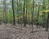 TBD Racoon Run, Elkins, West Virginia 26241, ,Lots/land,For Sale,Racoon,10161926