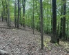 TBD Racoon Run, Elkins, West Virginia 26241, ,Lots/land,For Sale,Racoon,10161926
