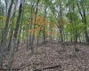 TBD Racoon Run, Elkins, West Virginia 26241, ,Lots/land,For Sale,Racoon,10161926
