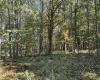 00 Junior Road, Junior, West Virginia 26275, ,Lots/land,For Sale,Junior,10161918 00 Junior Road, Junior, West Virginia 26275, ,Lots/land,For Sale,Junior,10161918
