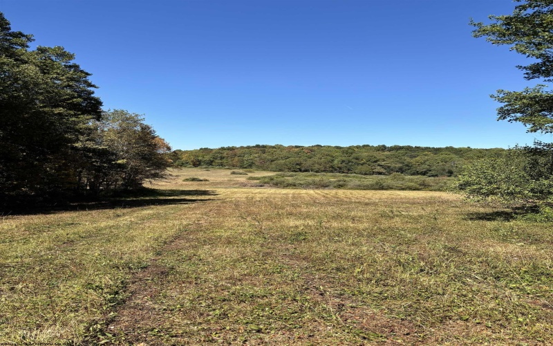 00 Junior Road, Junior, West Virginia 26275, ,Lots/land,For Sale,Junior,10161918 00 Junior Road, Junior, West Virginia 26275, ,Lots/land,For Sale,Junior,10161918