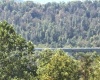 00 Junior Road, Junior, West Virginia 26275, ,Lots/land,For Sale,Junior,10161918 00 Junior Road, Junior, West Virginia 26275, ,Lots/land,For Sale,Junior,10161918